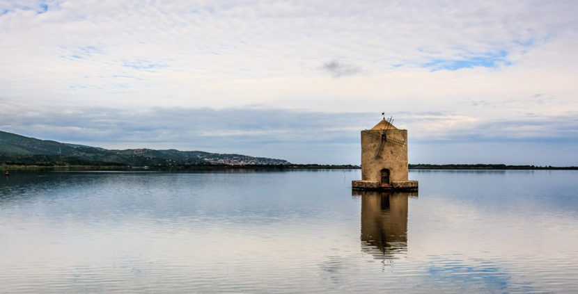 iyengar-yoga-sul-mare-toscano