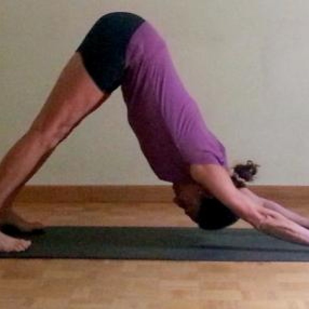 Seminar with Stephanie Quirk Istituto Iyengar Yoga Firenze